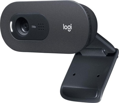 Kamera internetowa Logitech C505e