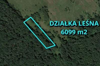 Działka, Kamienica Polska, 6099 m²