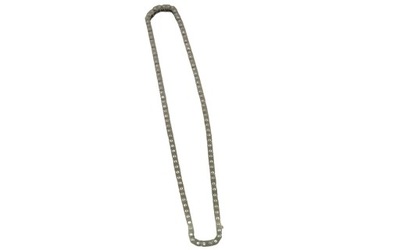 Ланцюг розподільного валу fast ft41808 фото №1