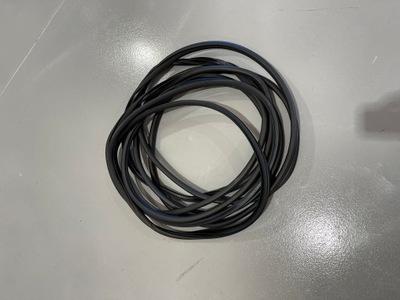 Dodge ram v 19 прокладка ущільнювачі двері lp фото №1