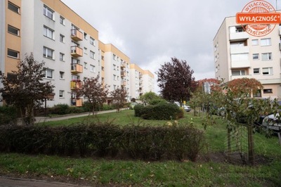 Mieszkanie, Szczecin, 51 m²