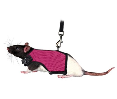 Trixie Miękkie szelki i smycz dla szczura