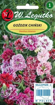 Goździk chiński mieszanka