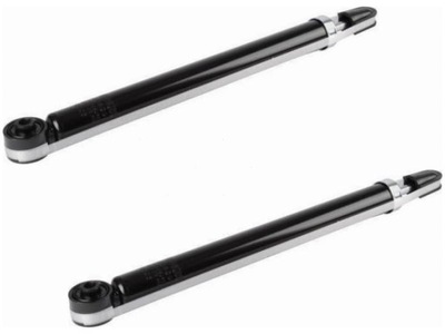 Амортизатори задня ford fusion 1.2-1.6 02-12 фото №1