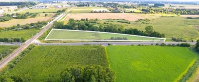 Działka, Złotkowo, Suchy Las, Poznański, 13023 m²