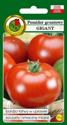 Pomidor gruntowy Gigant 10g