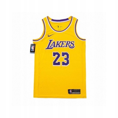 Nike NBA Men's Los Angeles Lakers LeBron James Dri-FIT Gold T-Shirt –  Stephen Sports