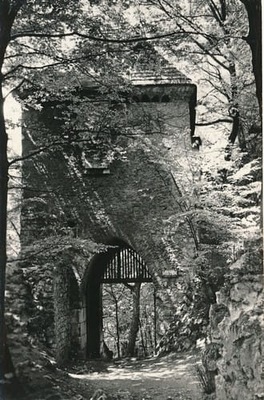 Pocztówka Ojców D22