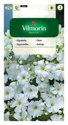 Gipsówka wielkokwiatowa biała 5g Vilmorin