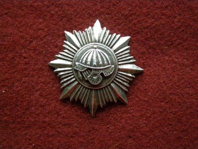 Odznaka 5 Batalionu Pancernego