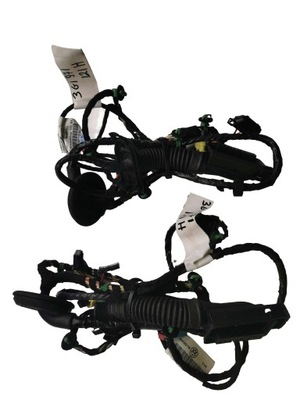 Джгут двері правий перед vw passat b8 3g1971121h фото №1