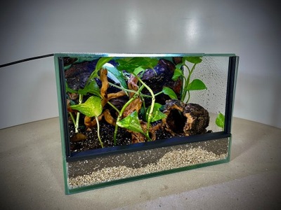 Terrarium szklane z leśnym wystrojem 30x20x20 cm. żywe rośliny