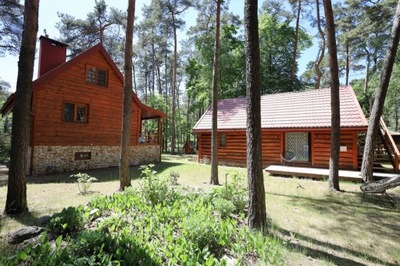 Dom, Sokolniki-Las, Ozorków (gm.), 165 m²