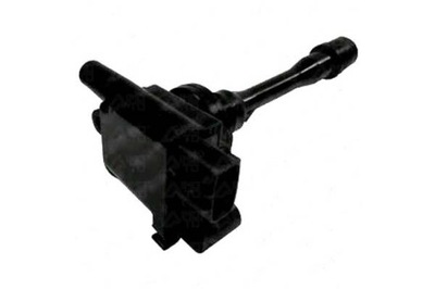 Котушка запалювання delphi gn10191-12b1 фото №1