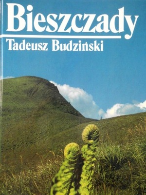 Bieszczady - ALBUM Tadeusz Budziński