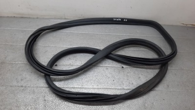 Прокладка двері правий перед opel meriva a 06r 1.6b lift фото №1