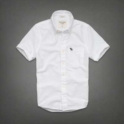 Abercrombie & Fitch Schroon River Oxford Shirt (L)