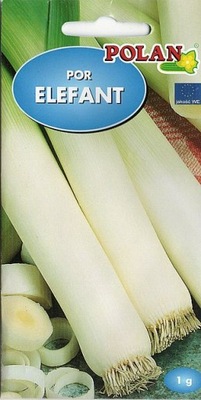 POR ELEFANT 1 g PÓŹNY 'POLAN