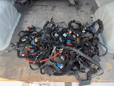 Maserati quattroporte vi lift джгут комплектна салону фото №1