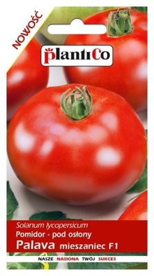 Pomidor Palava 0,1g PlantiCo