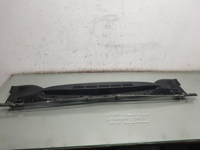 Жабо citroen xsara picasso фото №1