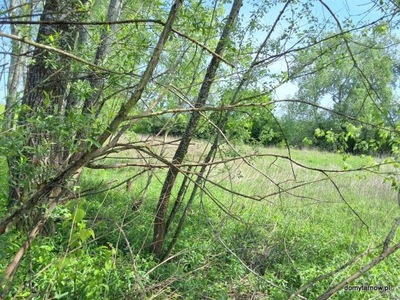 Działka, Tarnów, Strusina, 4547 m²