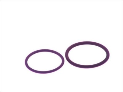 Элементы насос-форсунка bosch f 00v x99 992 фото №1