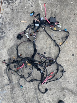 Электропроводка двигателя scenic iii 1.6 dci фото №1