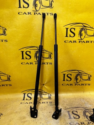 Комплект амортизаторы крышки багажника ford escape mk4 фото №1