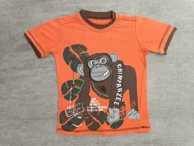 Bluzka bluzeczka krótki rękaw małpka 104/110