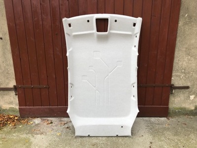 Потолок renault zoe i фото №1