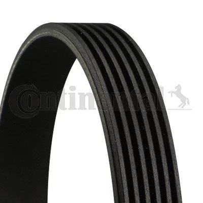 CONTINENTAL CTAM CON 6PK1441EXTRA BELT W/KLINOWY  