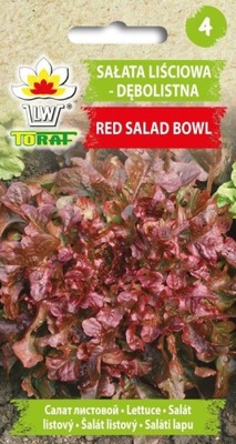 Sałata liściowa - dębolistna Red Salad Bowl