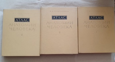 R.D. Sinelnikov: Atlas anatomii człowieka 1-3