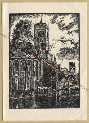 ANK THORN TORUŃ DRZEWORYT RATUSZ REIMESCH