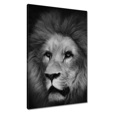 Obrazy 60x90 Lew król zwierząt