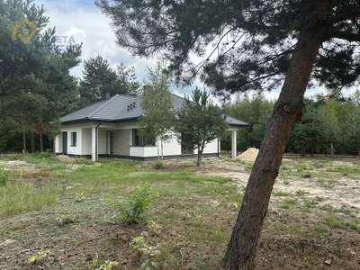 Dom, Helenka, Młodzieszyn (gm.), 102 m²