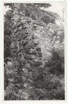 Smolęcin (pow. Police). Ruiny kościoła romańskiego, 1956