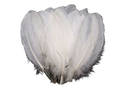 5szt biały gęsie pióra długość 15-21cm piórka