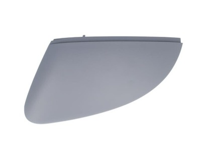 PROTECTION MIRRORS EXTERIOR BLIC 6103-01-1311115P  