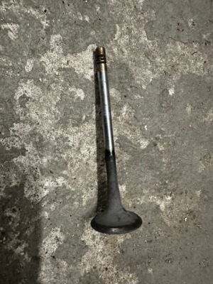 Клапан выпускной audi tt 8n 1.8t 180km фото №1