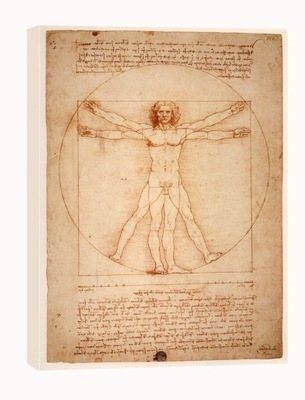 Anatomia, Leonardo da Vinci - obraz na płótnie 70x