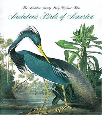 Audubon s Birds of America: The National Audubon