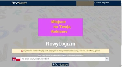 Serwis internetowy strona www nowylogizm pl