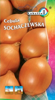 Cebula sochaczewska 5g NASIONA ZAPRAWIANE