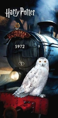 Ręcznik plażowy 70x140 Harry Potter Sowa Hedwiga