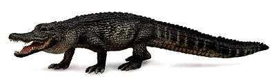 ALIGATOR