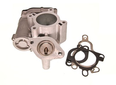 VÁLVULA EGR RENAULT 2,0DCI NISSAN/OPEL 48640  