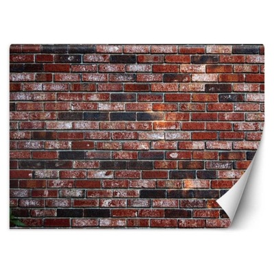 Fototapeta, Mur z czerwonej cegły - 100x70