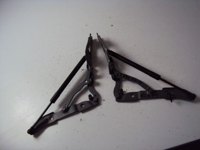 Петли крышки задняя bmw serii 3 e92 coupe 06-12 фото №1